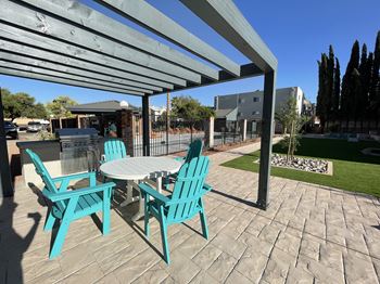 Gas grill bbq/picnic area